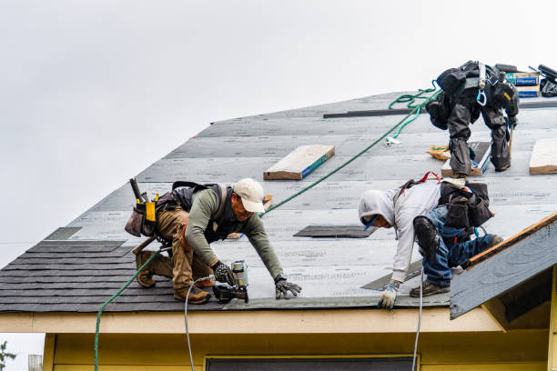 Professional Storm Damage Roof Repair technician working in Dana, IN